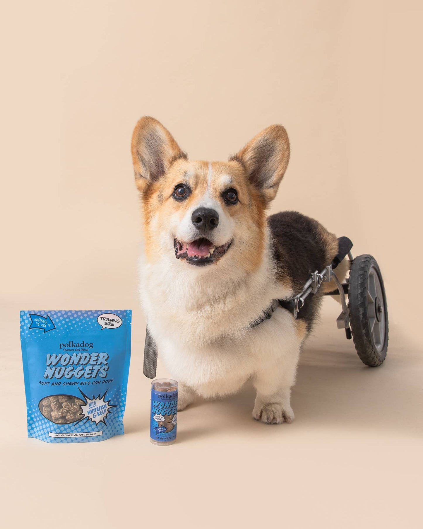 Wonder Nuggets, Whitefish & Kelp - 2.5oz - Dog Treats
