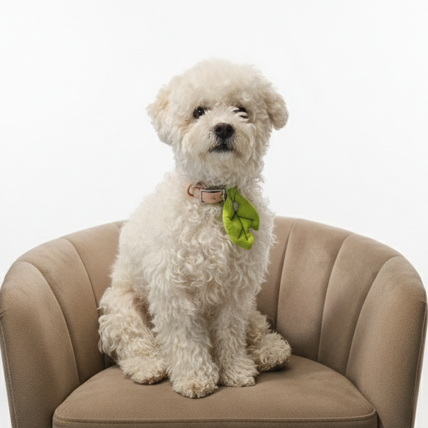 Meadow Green Nibbled Leaf Charm | PawMind x HIKOINU (S/M)