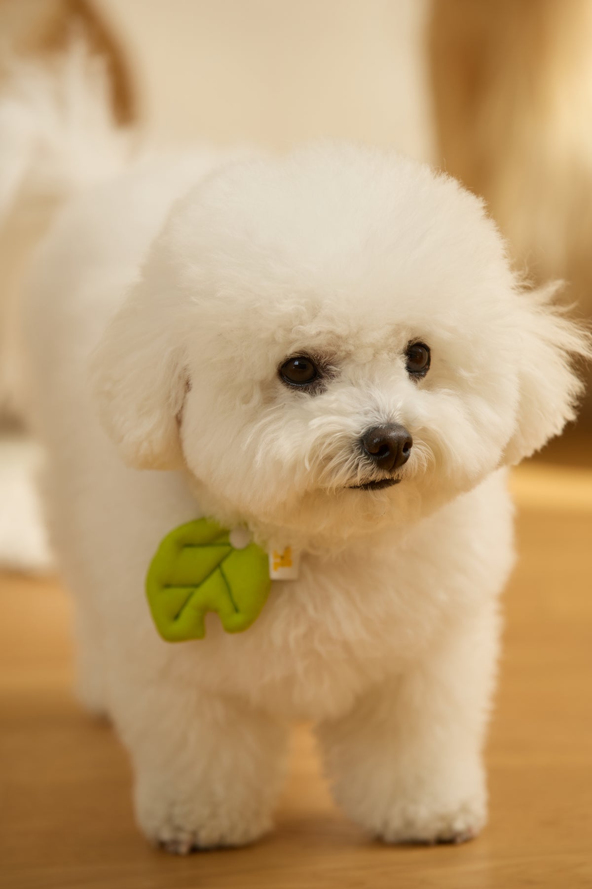 Meadow Green Nibbled Leaf Charm | PawMind x HIKOINU (S/M)