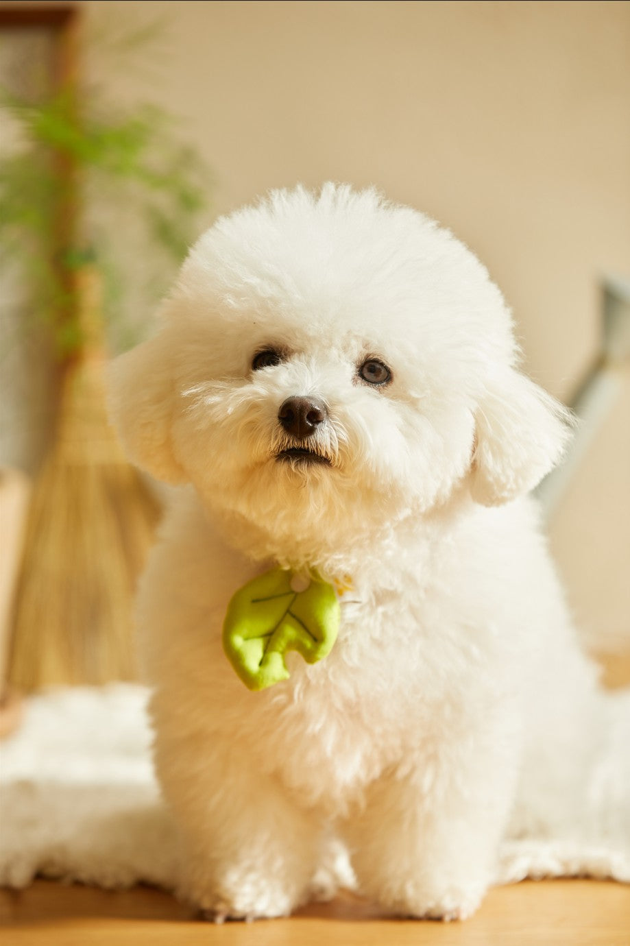 Meadow Green Nibbled Leaf Charm | PawMind x HIKOINU (S/M)