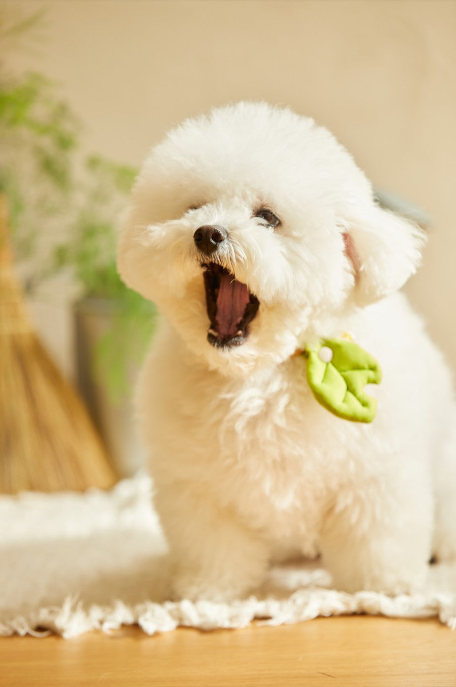 Meadow Green Nibbled Leaf Charm | PawMind x HIKOINU (S/M)
