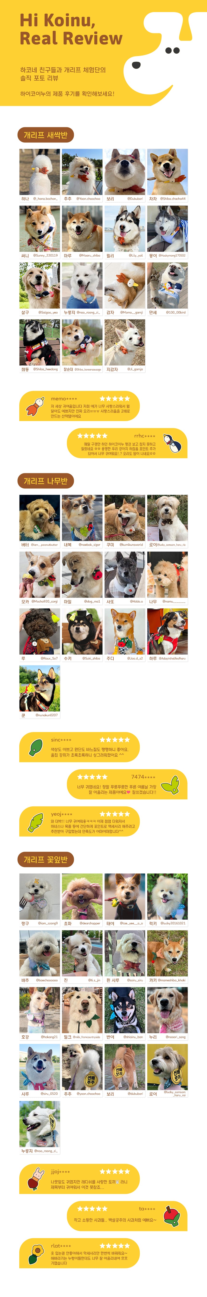 [PawMind x HIKOINU] Neck Deco items - Winter Series