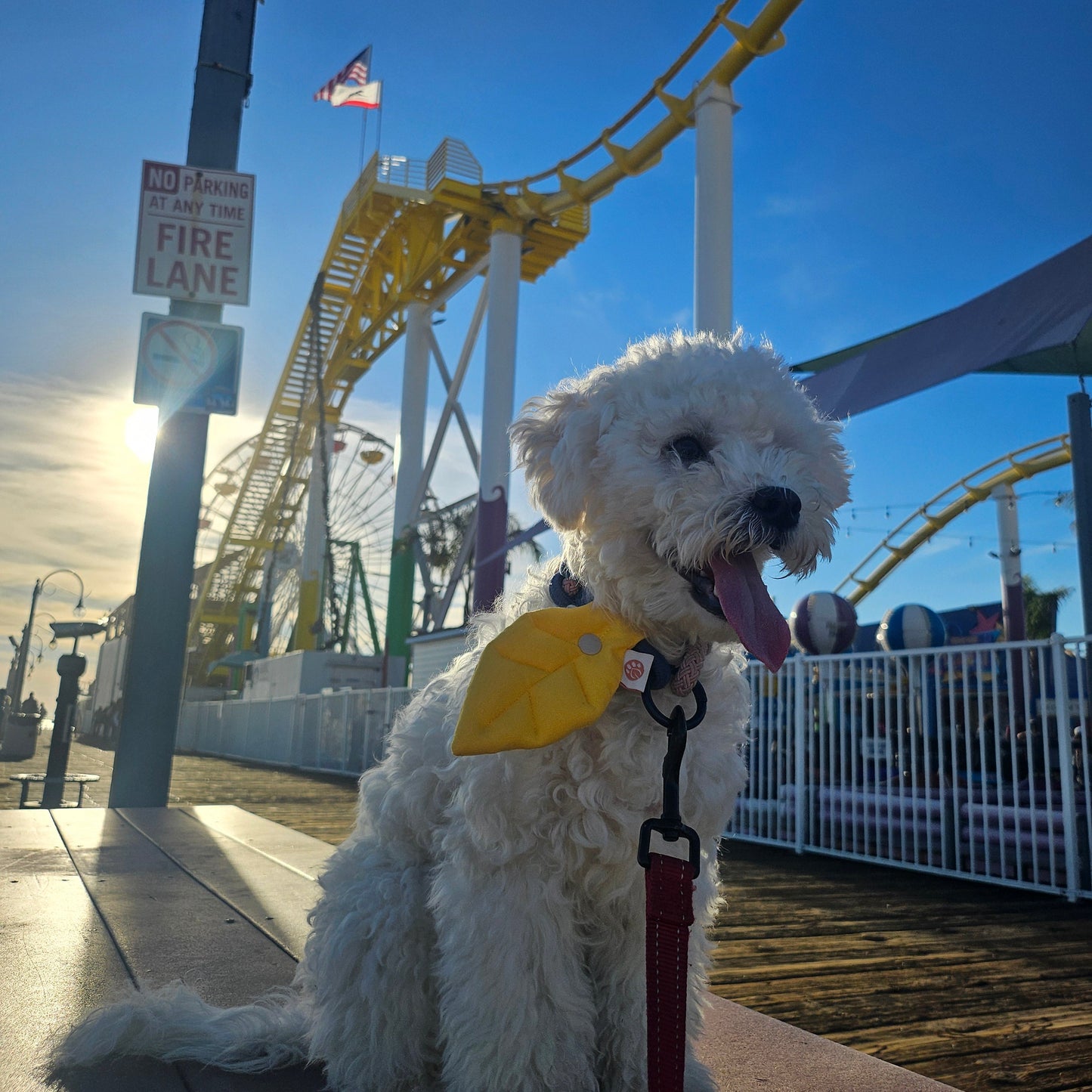 [PawMind x HIKOINU] Neck Deco items - Leaf Series (Yellow)