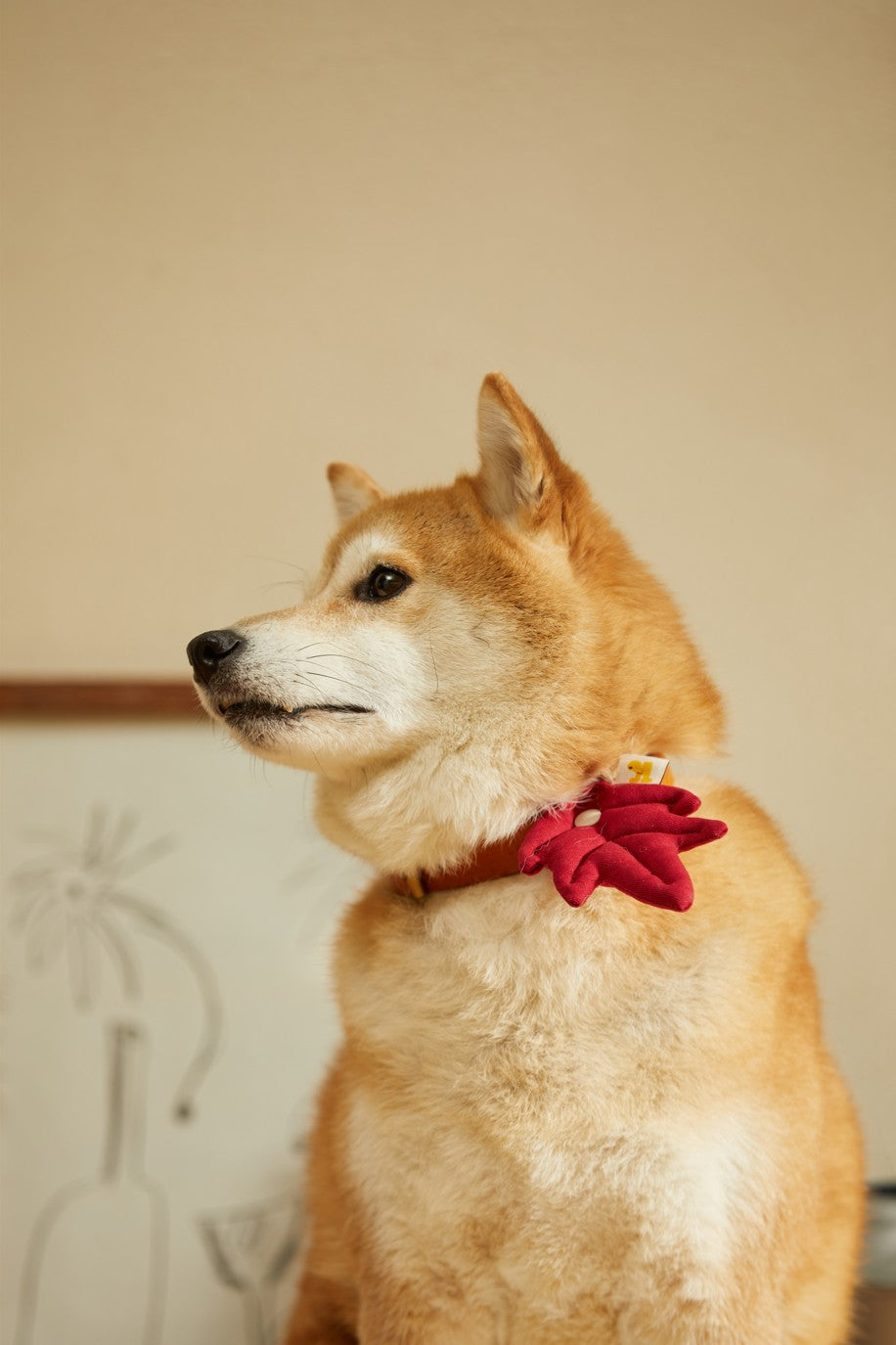 Sunset Red Leaf Charm | PawMind x HIKOINU (M/L)