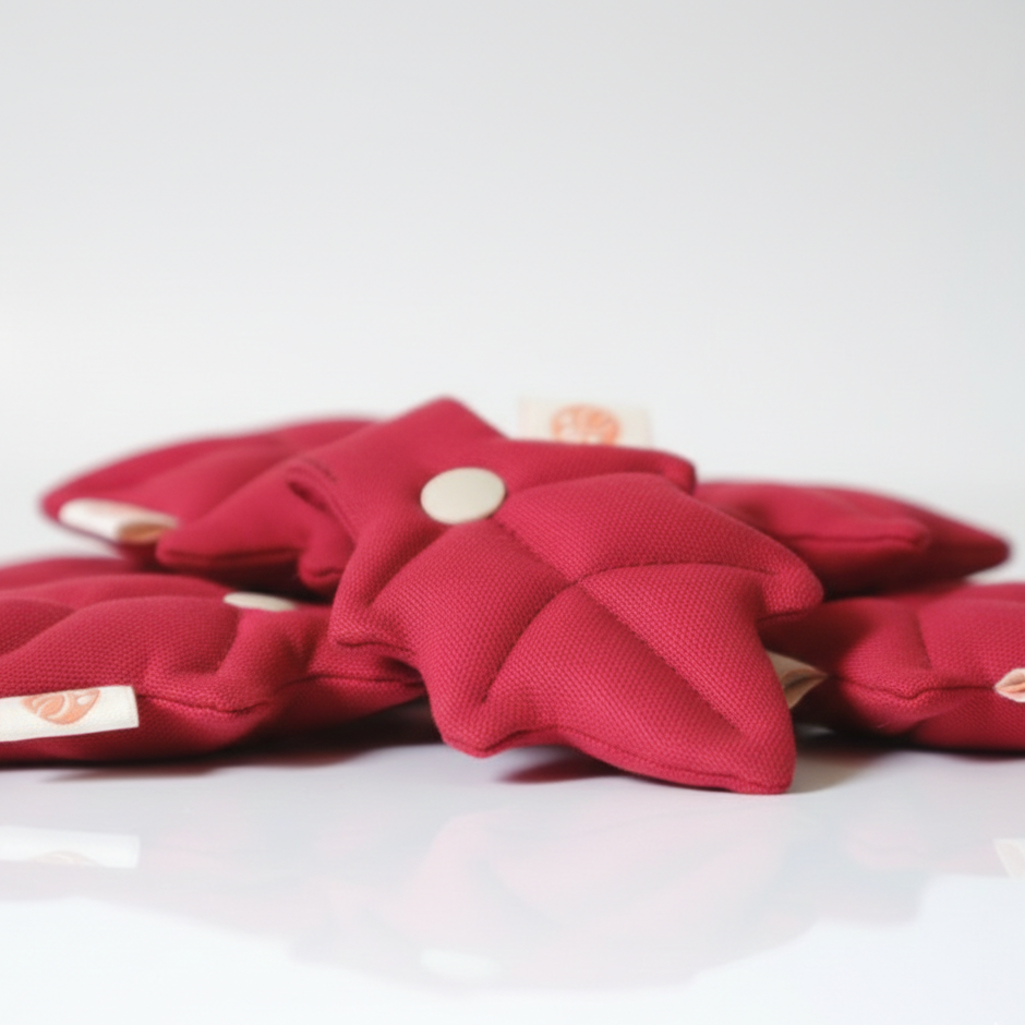 Sunset Red Leaf Charm | PawMind x HIKOINU (M/L)