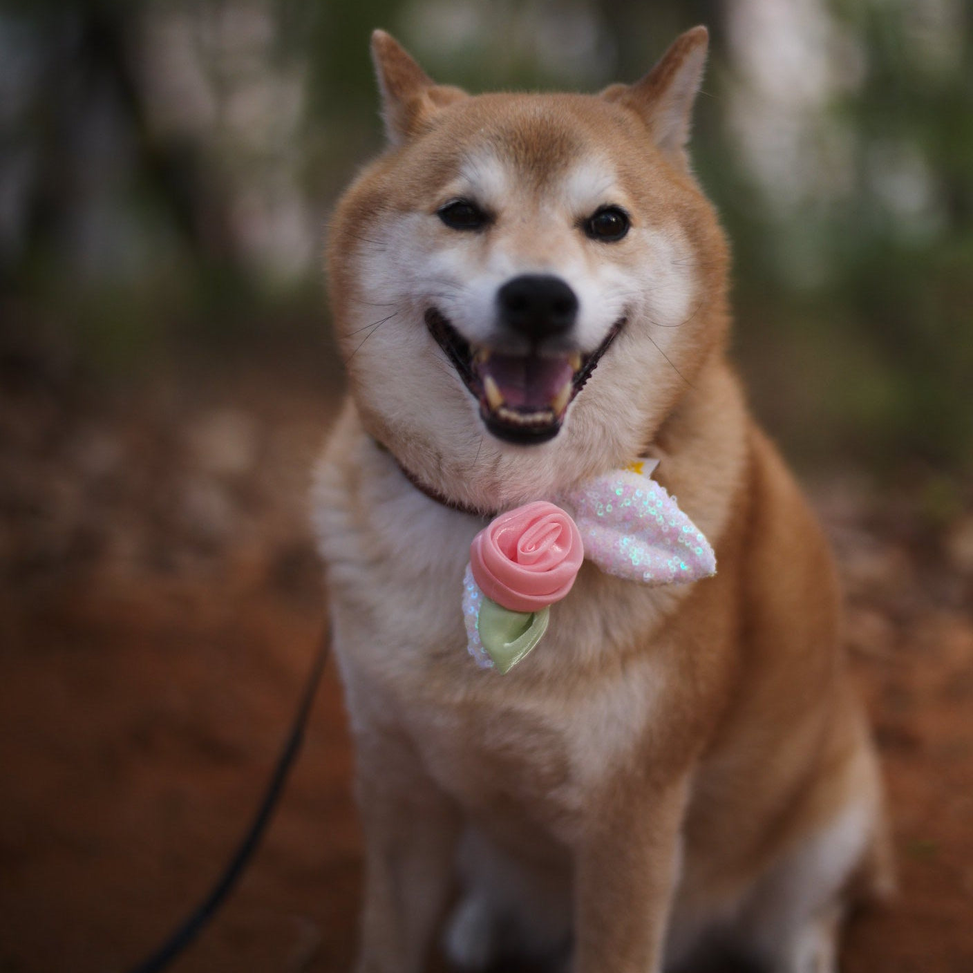 Rose Petal Deco | PawMind x HIKOINU (M/L)