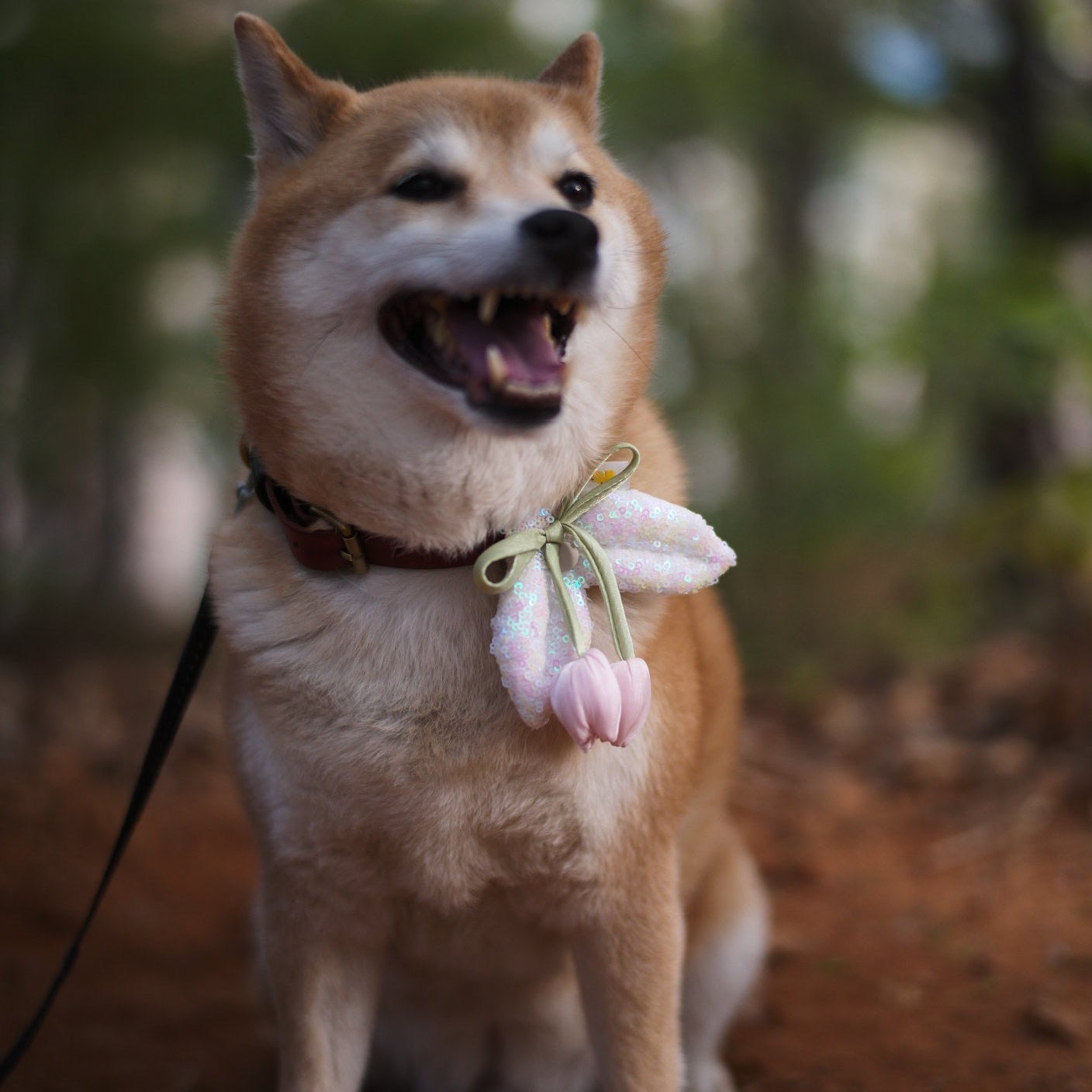 Spring Tulip Bloom Deco | PawMind x HIKOINU (M/L)
